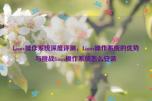 Linux操作系统深度评测，Linux操作系统的优势与挑战linux操作系统怎么安装