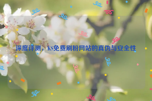 深度评测，KS免费刷粉网站的真伪与安全性