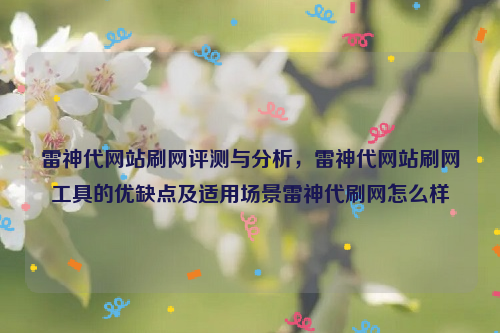 雷神代网站刷网评测与分析，雷神代网站刷网工具的优缺点及适用场景雷神代刷网怎么样