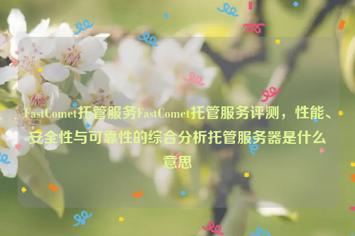 FastComet托管服务FastComet托管服务评测，性能、安全性与可靠性的综合分析托管服务器是什么意思