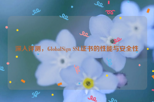 深入评测，GlobalSign SSL证书的性能与安全性