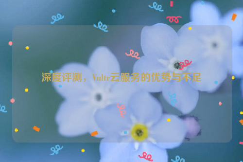 深度评测，Vultr云服务的优势与不足