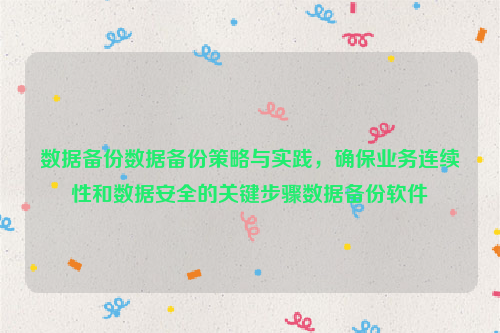 数据备份数据备份策略与实践，确保业务连续性和数据安全的关键步骤数据备份软件