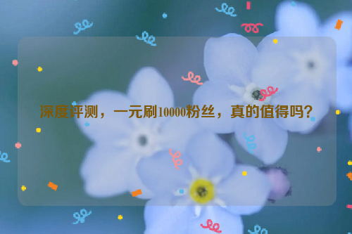 深度评测，一元刷10000粉丝，真的值得吗？