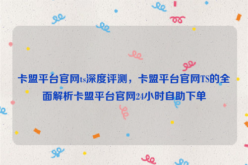 卡盟平台官网ts深度评测，卡盟平台官网TS的全面解析卡盟平台官网24小时自助下单