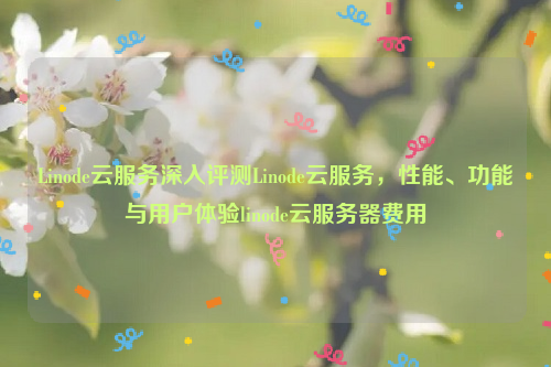 Linode云服务深入评测Linode云服务，性能、功能与用户体验linode云服务器费用