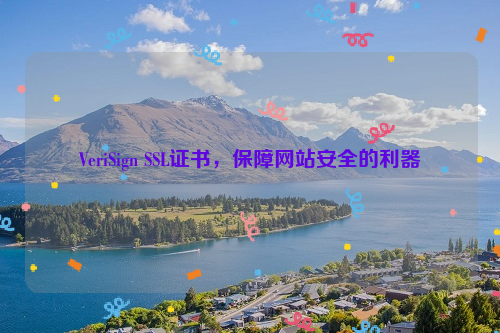 VeriSign SSL证书，保障网站安全的利器