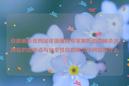 自助刷会员网站评测编程专家解析自助刷会员网站的优缺点与安全性自助刷会员网站是什么