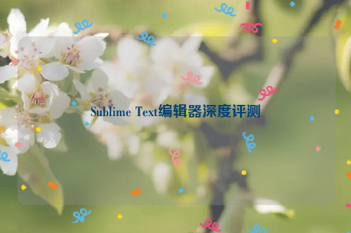 Sublime Text编辑器深度评测