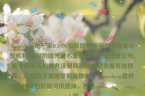 Namecheap是一家ICANN(互联网名称与数字地址分配机构)认可的国外域名注册商和网站托管公司，是全球领先的域名注册商和网络安全服务提供商，总部位于美国亚利桑那州。 Namecheap提供了多种域名后缀可供选择，包括.com、.net、.org、.info等。