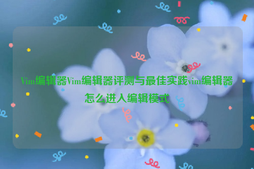 Vim编辑器Vim编辑器评测与最佳实践vim编辑器怎么进入编辑模式