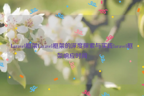 Laravel框架Laravel框架的深度探索与实践laravel框架响应时间