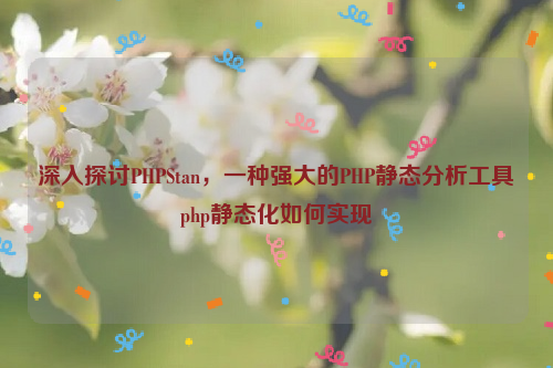 深入探讨PHPStan，一种强大的PHP静态分析工具php静态化如何实现