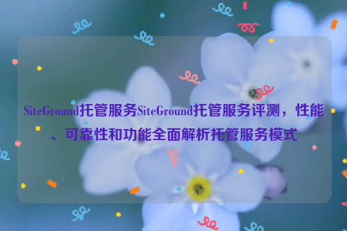 SiteGround托管服务SiteGround托管服务评测，性能、可靠性和功能全面解析托管服务模式