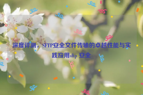 深度评测，SFTP安全文件传输的卓越性能与实践应用sftp 安全