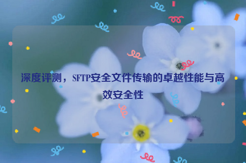 深度评测，SFTP安全文件传输的卓越性能与高效安全性