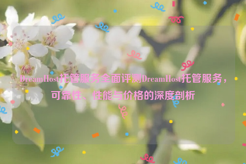 DreamHost托管服务全面评测DreamHost托管服务，可靠性、性能与价格的深度剖析