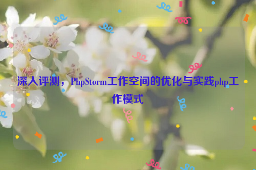 深入评测，PhpStorm工作空间的优化与实践php工作模式