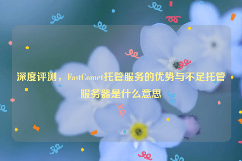 深度评测，FastComet托管服务的优势与不足托管服务器是什么意思