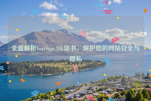 全面解析VeriSign SSL证书，保护您的网站安全与隐私