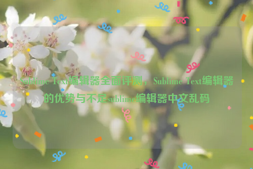 Sublime Text编辑器全面评测，Sublime Text编辑器的优势与不足sublime编辑器中文乱码