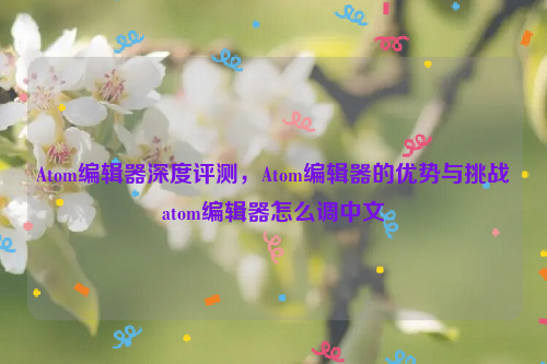 Atom编辑器深度评测，Atom编辑器的优势与挑战atom编辑器怎么调中文