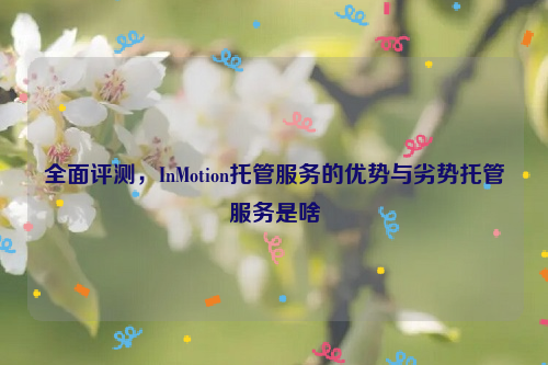 全面评测，InMotion托管服务的优势与劣势托管服务是啥