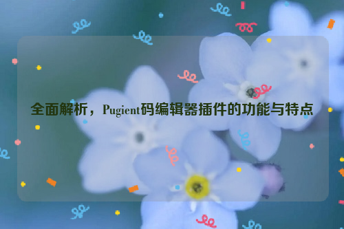 全面解析，Pugient码编辑器插件的功能与特点