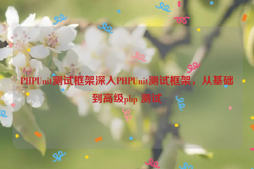 PHPUnit测试框架深入PHPUnit测试框架，从基础到高级php 测试