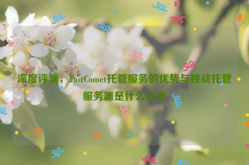 深度评测，FastComet托管服务的优势与挑战托管服务器是什么意思