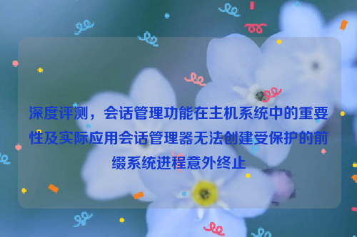 深度评测，会话管理功能在主机系统中的重要性及实际应用会话管理器无法创建受保护的前缀系统进程意外终止