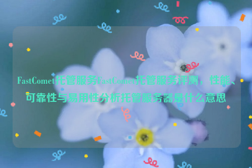 FastComet托管服务FastComet托管服务评测，性能、可靠性与易用性分析托管服务器是什么意思