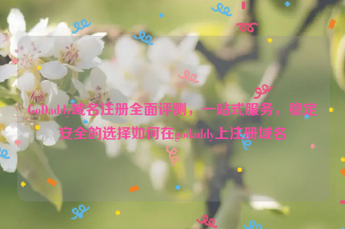 GoDaddy域名注册全面评测，一站式服务，稳定安全的选择如何在godaddy上注册域名