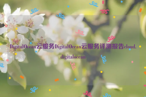 DigitalOcean云服务DigitalOcean云服务评测报告cloud.digitalocean