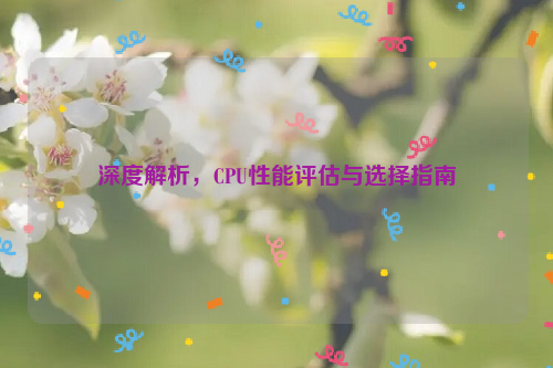 深度解析，CPU性能评估与选择指南