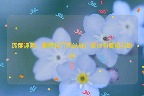 深度评测，刷赞抖音网站推广低价的真相与影响