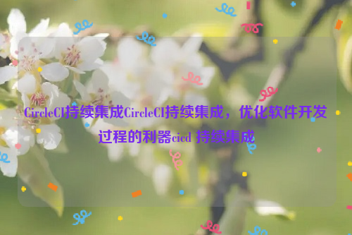 CircleCI持续集成CircleCI持续集成，优化软件开发过程的利器cicd 持续集成