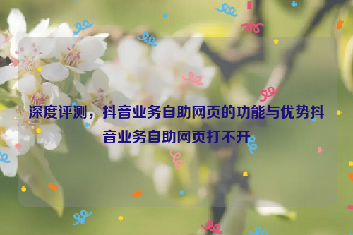 深度评测，抖音业务自助网页的功能与优势抖音业务自助网页打不开