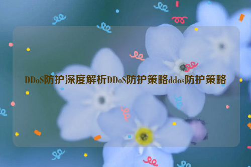 DDoS防护深度解析DDoS防护策略ddos防护策略