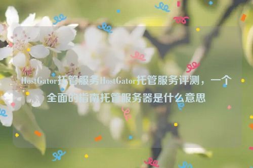 HostGator托管服务HostGator托管服务评测，一个全面的指南托管服务器是什么意思