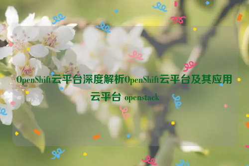 OpenShift云平台深度解析OpenShift云平台及其应用云平台 openstack