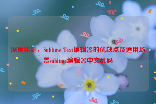 深度评测，Sublime Text编辑器的优缺点及适用场景sublime编辑器中文乱码