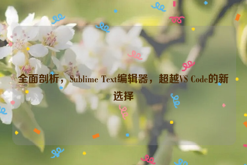 全面剖析，Sublime Text编辑器，超越VS Code的新选择