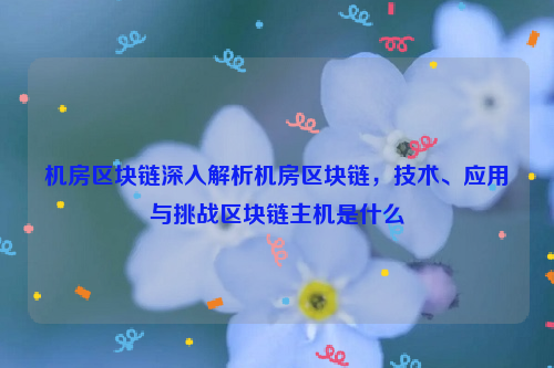 机房区块链深入解析机房区块链，技术、应用与挑战区块链主机是什么