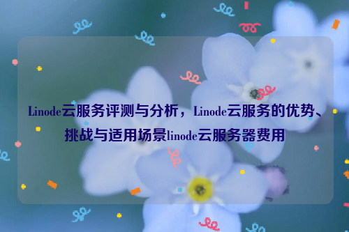 Linode云服务评测与分析，Linode云服务的优势、挑战与适用场景linode云服务器费用