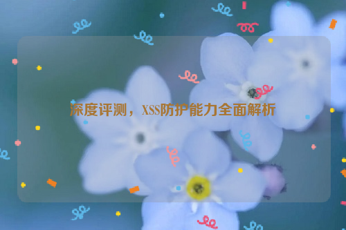 深度评测，XSS防护能力全面解析