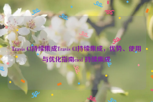 Travis CI持续集成Travis CI持续集成，优势、使用与优化指南cicd 持续集成