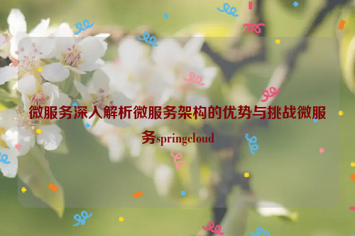 微服务深入解析微服务架构的优势与挑战微服务springcloud