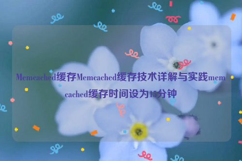 Memcached缓存Memcached缓存技术详解与实践memcached缓存时间设为15分钟