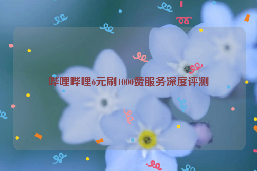 哔哩哔哩6元刷1000赞服务深度评测